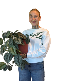 Jolijn Verbraeken