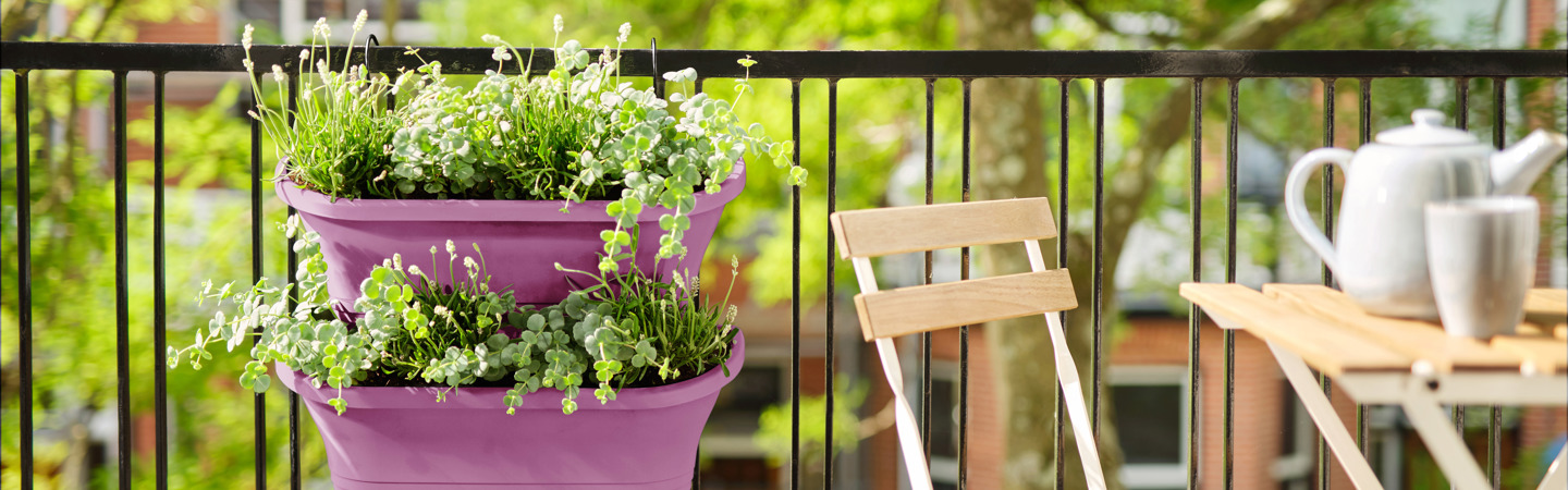 Purple Planters