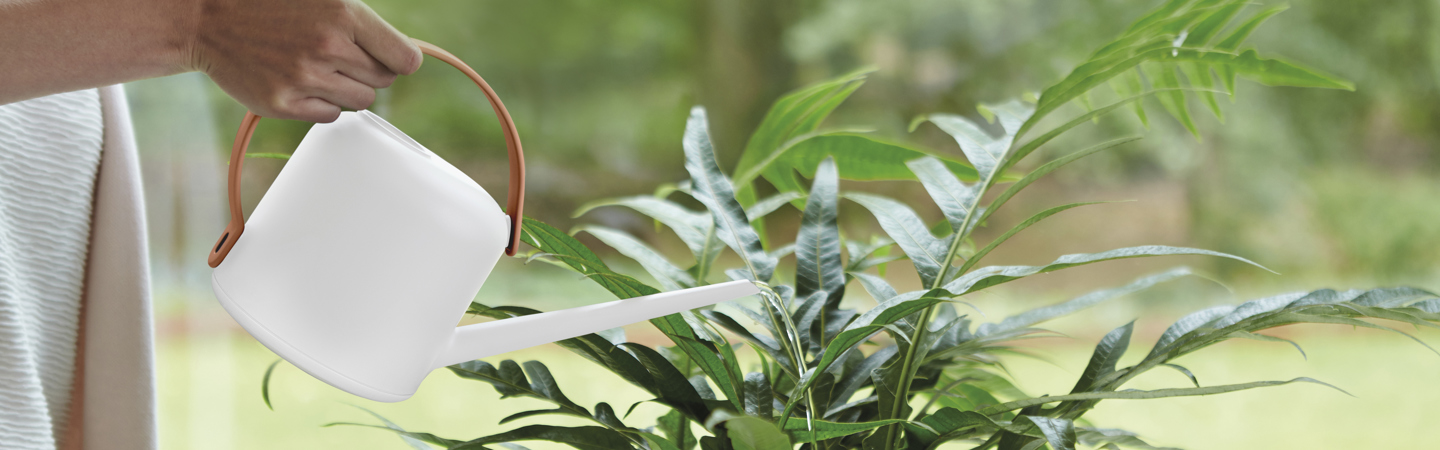 White watering cans