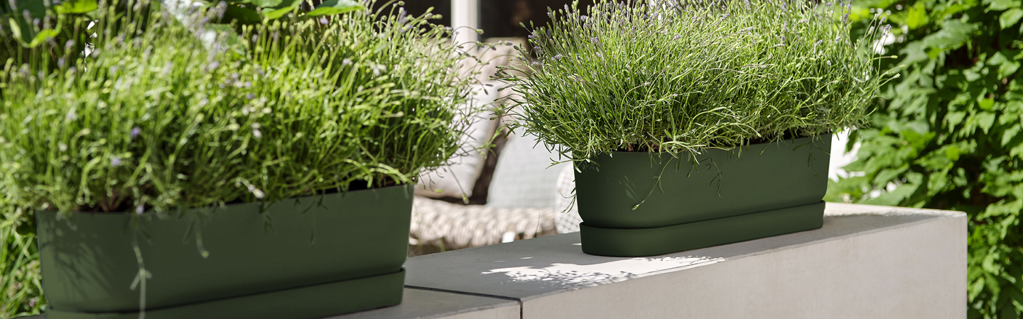 Jardinière de 12 po. Grand pot de fleurs avec système de drainage