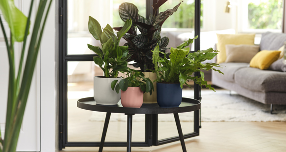 With elho flower pots you can grow any plant you like and adjust your  garden whenever you want - elho® - Give room to nature
