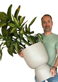 Ton van den Ouwelant