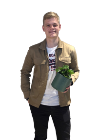 Dennis van Tiel