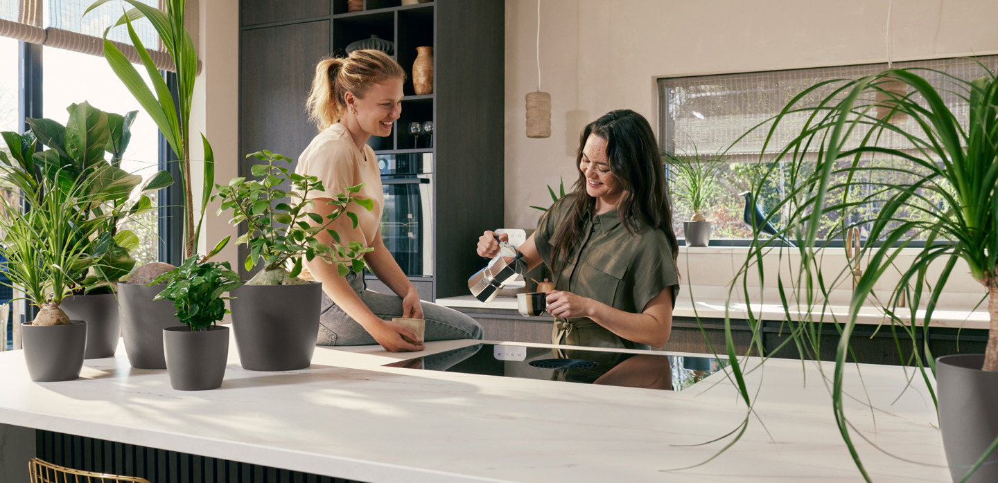 Descubre la belleza 
de los posos de café 