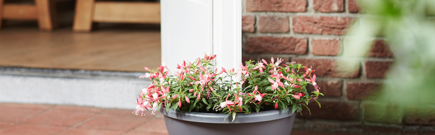 Connaissez-vous vraiment les pots de fleur à réserve d'eau ? - Blog de  Jardin Concept