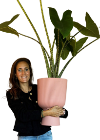Birgit Coenjaars