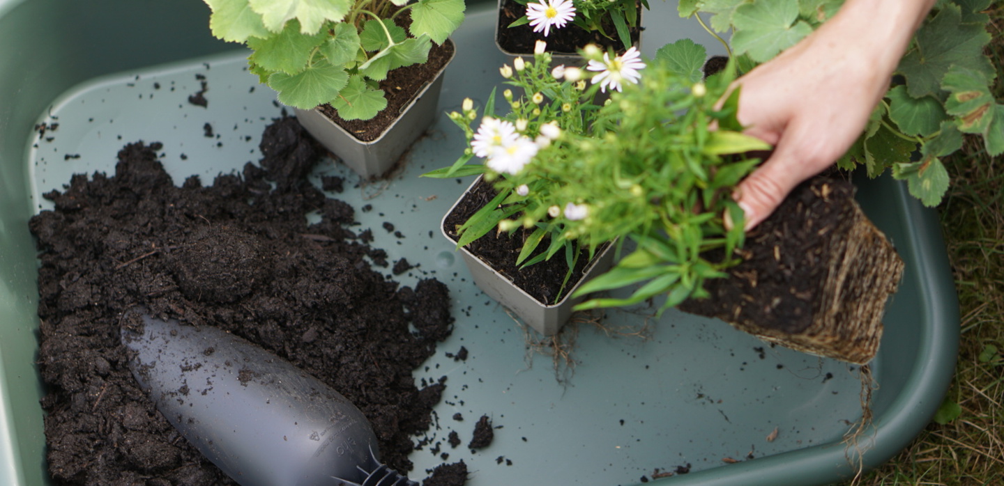 Je tuin vullen en voeden in de herfst