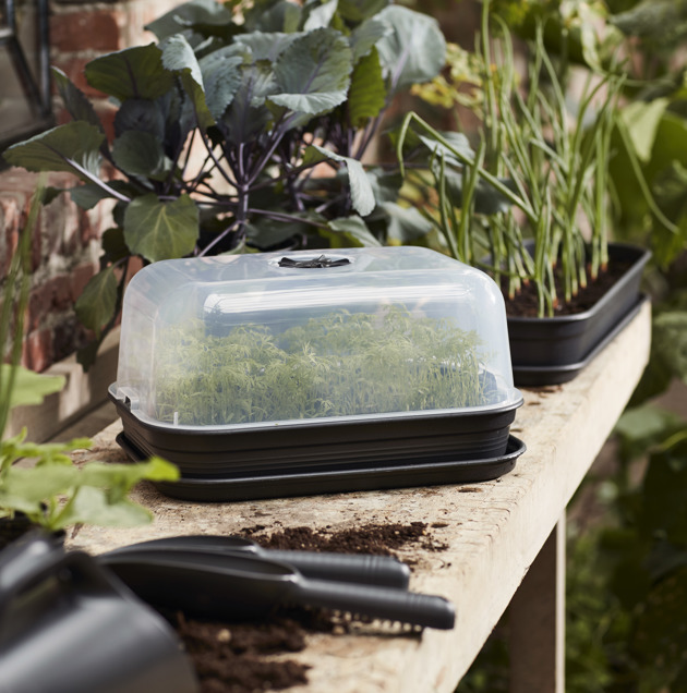 green basics grow set