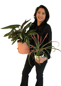 Chu Lan Hoo