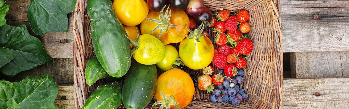 Nazomer en herfst in de moestuin