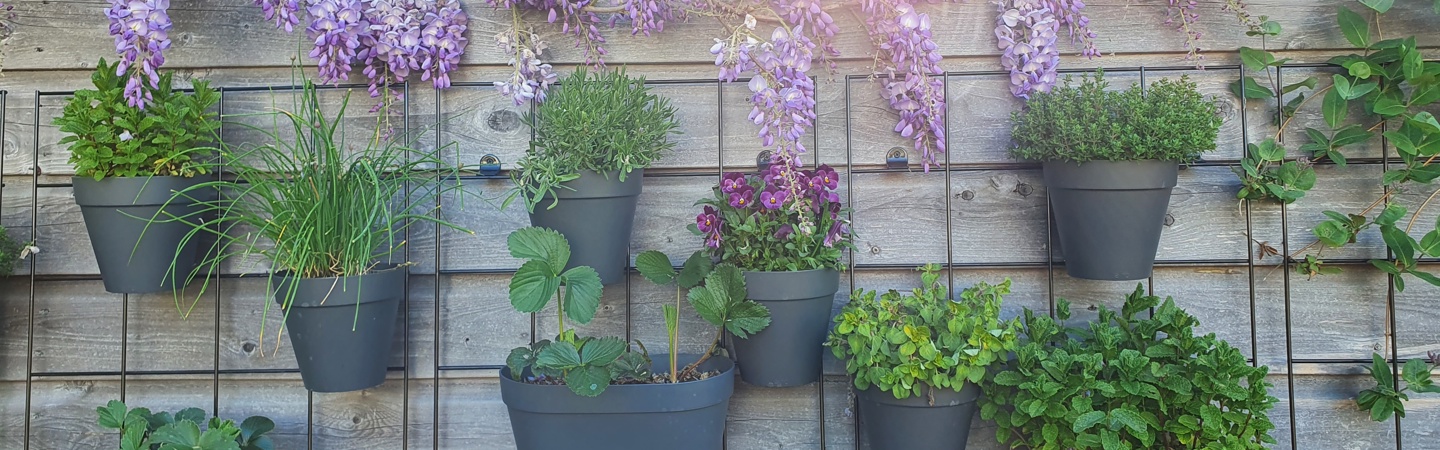 Verticaal tuinieren op je schutting of balkon