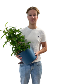 Victor Rosendaal