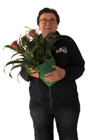 Bep van den Wildenberg