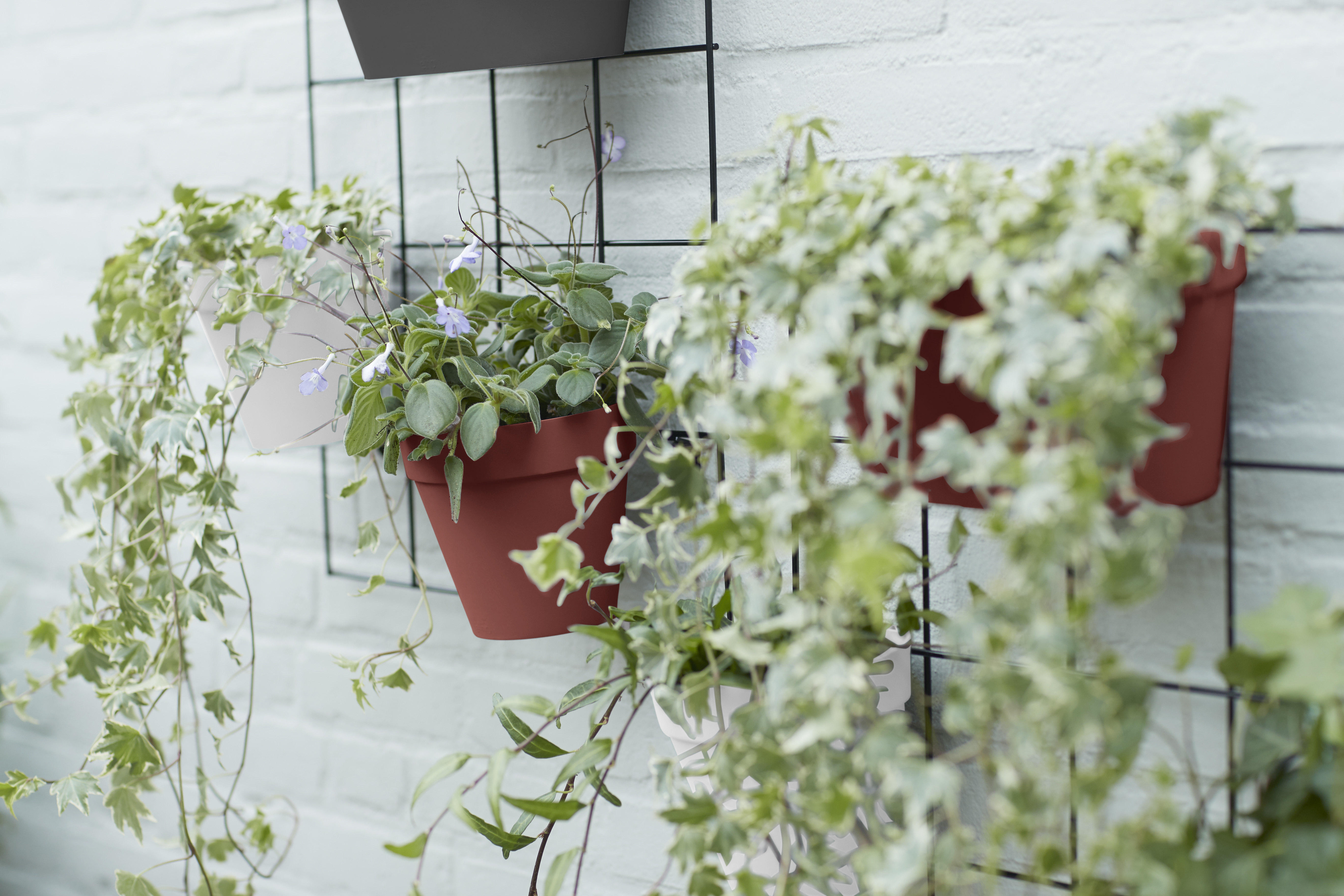 Elho Loft Urban () Elho Loft Urban