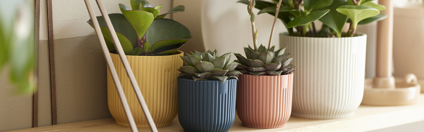 Flowerpots for indoor