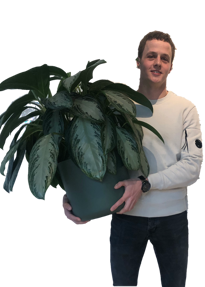 Stijn Hamers