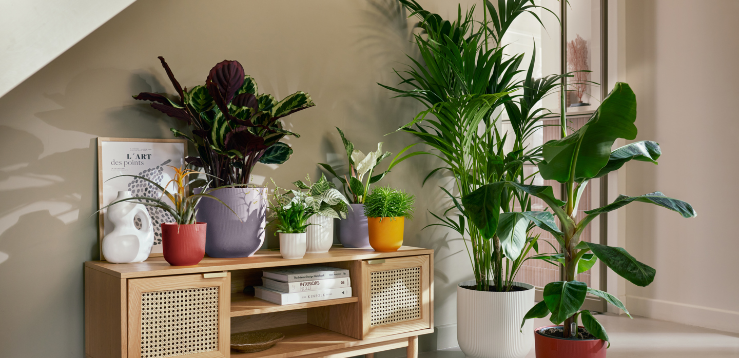 Vasi per piante da interno di design: la nostra selezione
