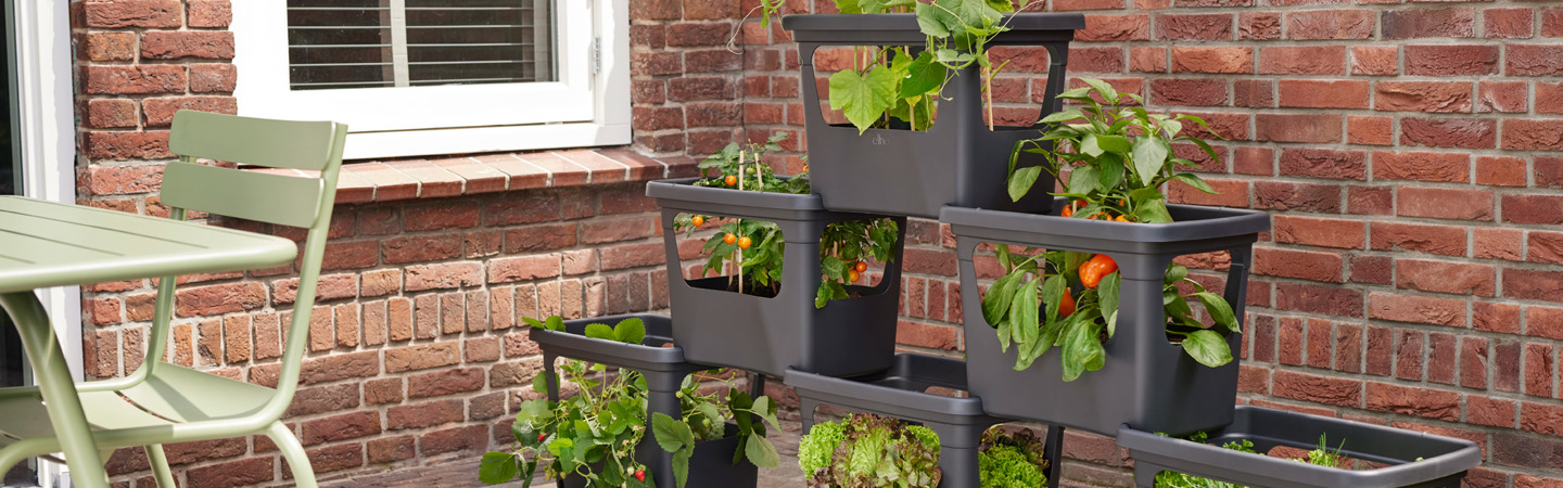 Stack & grow : the optimal “tetris” wall to grow your veggies & fruits