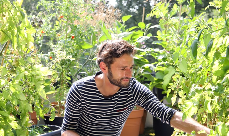 In de zomer voor je moestuin zorgen