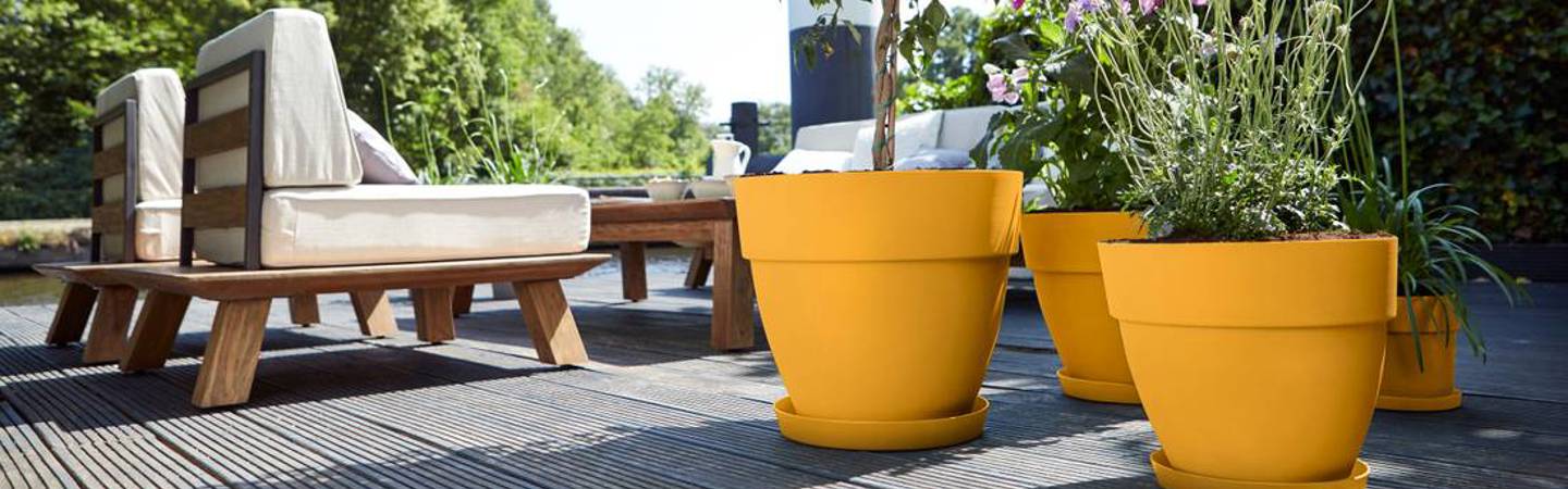 Yellow Flowerpots