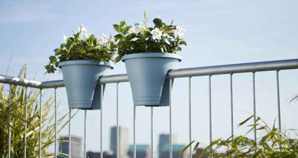 creëren Identificeren pols Plantenbak voor balkon kopen? Koop online of in de winkel!