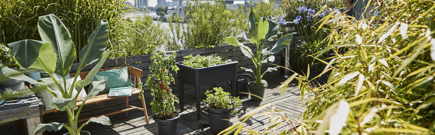 Aan de slag met moestuinieren op kleine oppervlakten