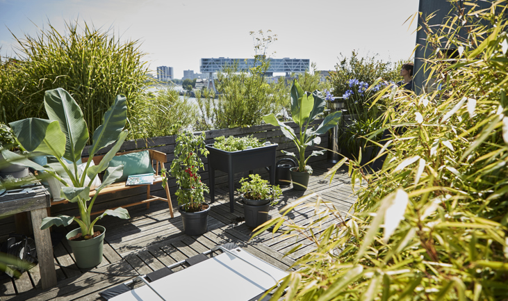 Aan de slag met moestuinieren op kleine oppervlakten