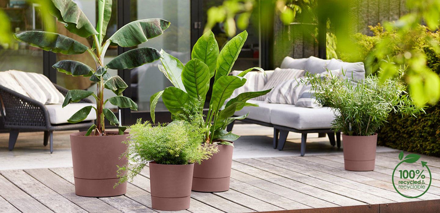 elho flowerpots and - - Give room to nature