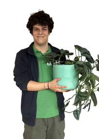 Sebastian Briscoi