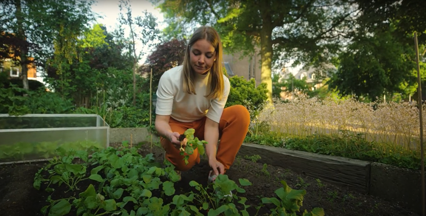 Samarbeta med naturen