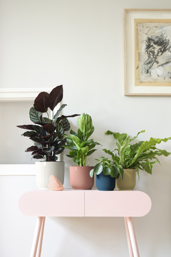 Plant pot Elho main image 1