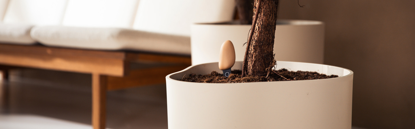 Smart pebble: jouw plantenfluisteraar
