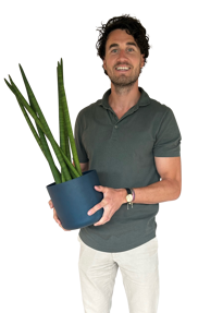 Mark de Regt