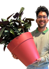 Laurent Mariano Tejada Baca