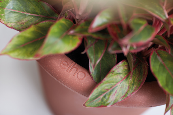 Where to buy - elho® - Give room to nature