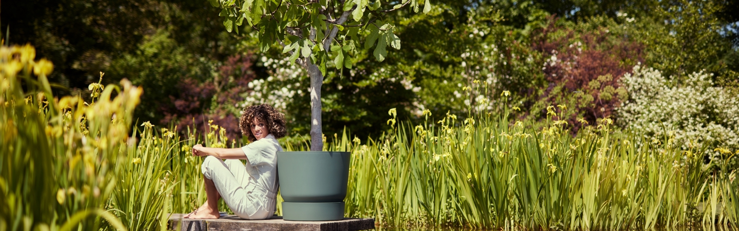 Groene bloempotten