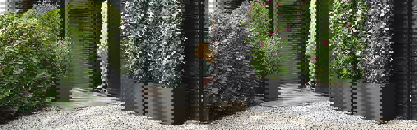 Pots rectangulaires pour fleurs