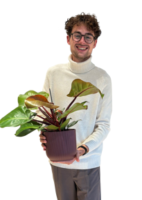 Stijn Reintjes