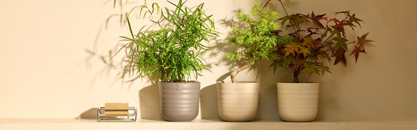 Laat groen landen met dune
