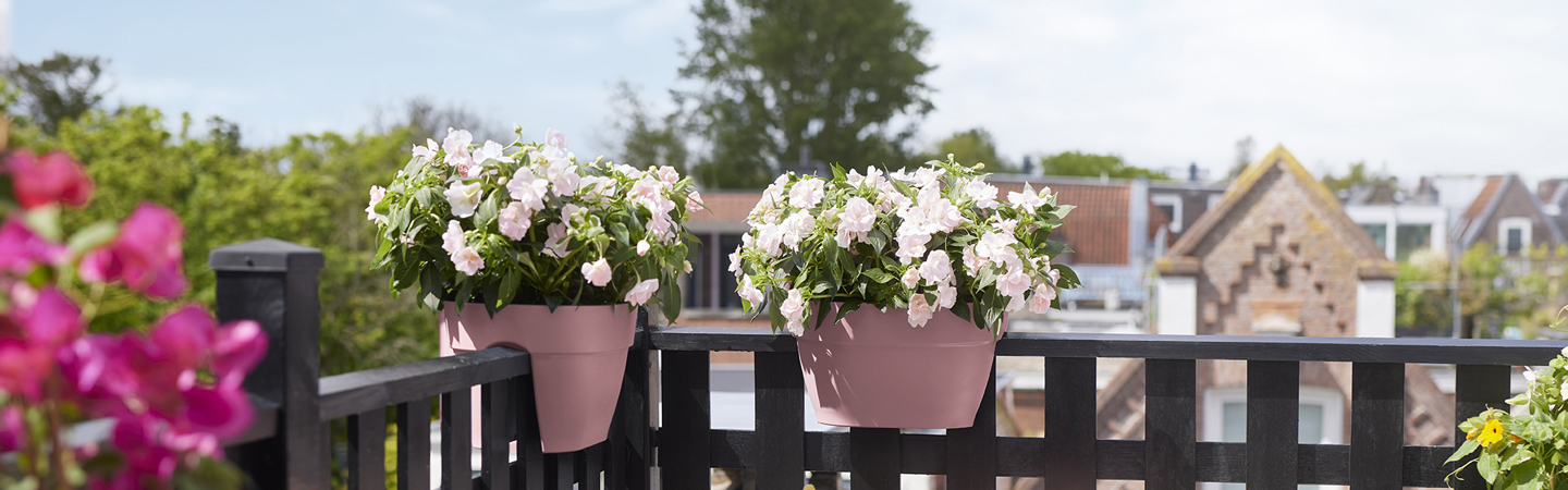 Pink Planters