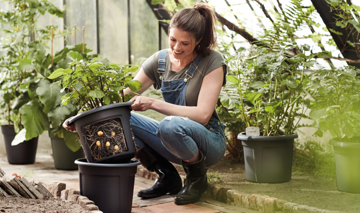 Zaaien en voorkiemen