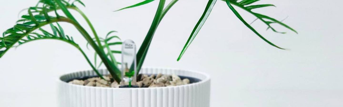 Deze grondsoorten kunnen in jouw elho self-watering insert!