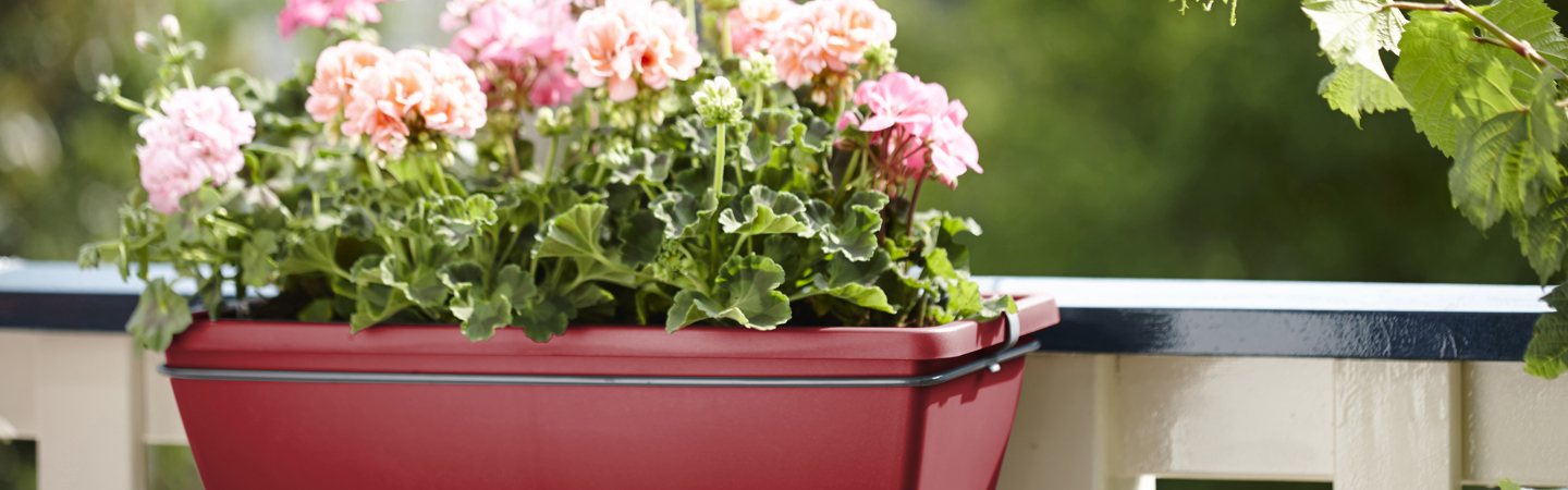 Bacs à plantes Rouges